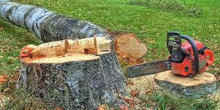 How Our Tree Care Process Works  in  Rush Springs, OK
